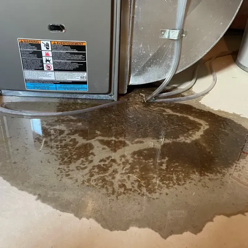 Appliance Leak Cleanup in Louisville, KY